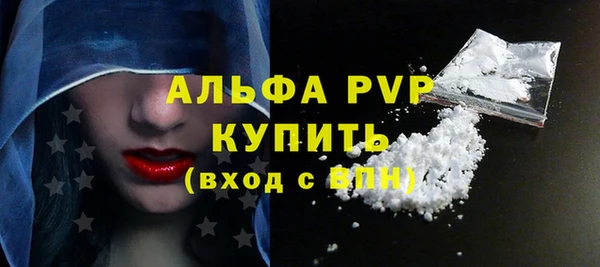 PSILOCYBIN Инсар