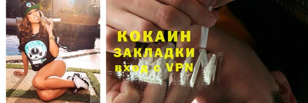 PSILOCYBIN Инсар