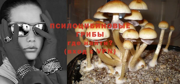 PSILOCYBIN Инсар